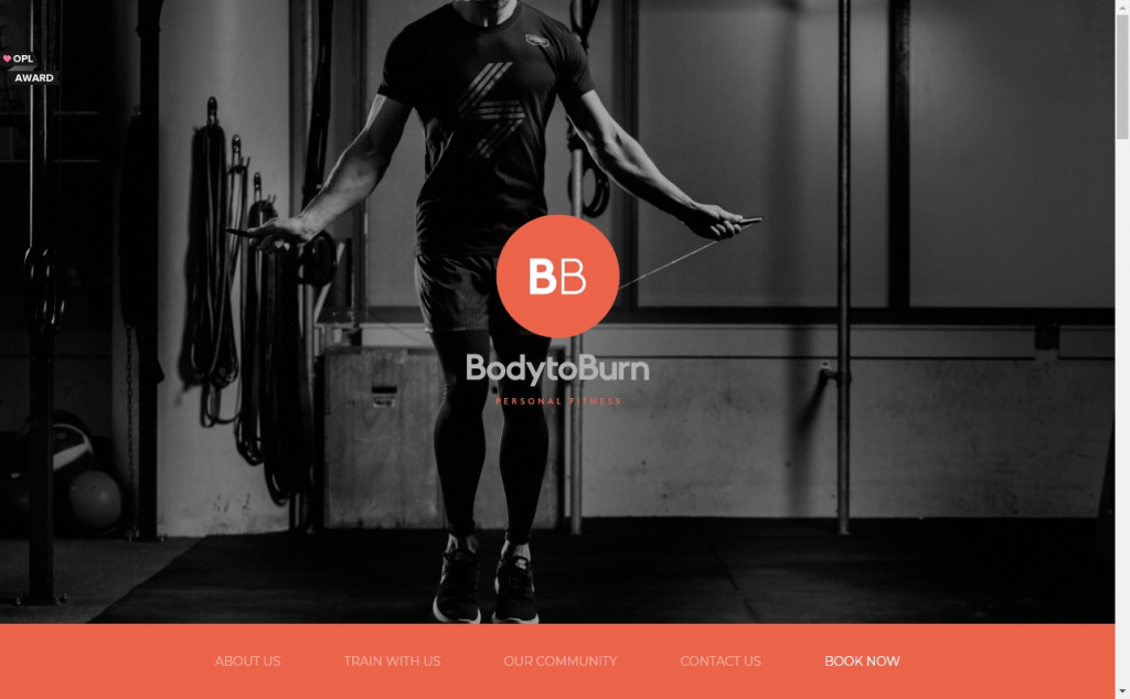 Best Black and Gold Websites Design Ideas &ndash; Web Design Inspirations 10