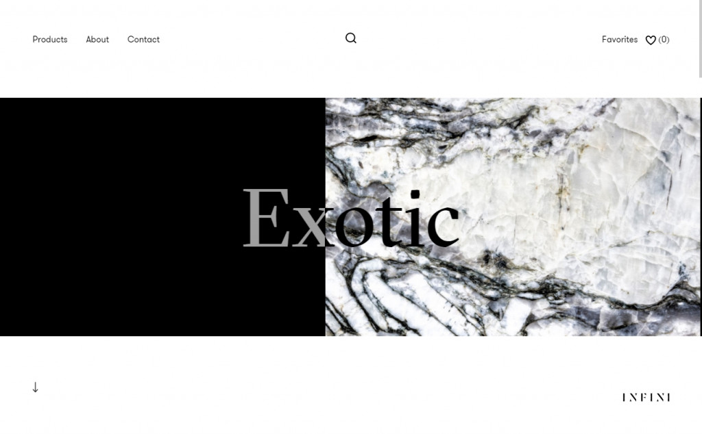 13 Beautifully Designed Black and White Websites 13