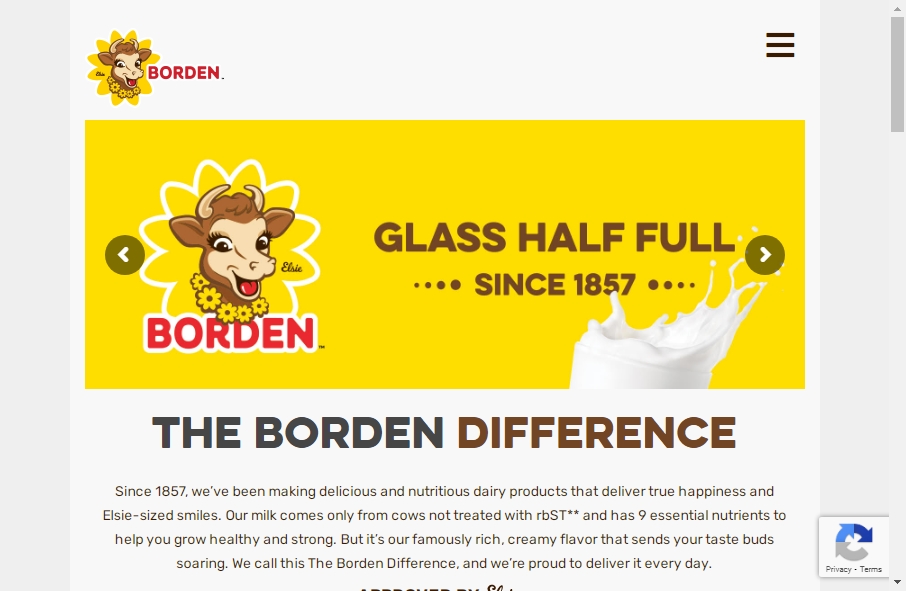 Dairy Website Design 3