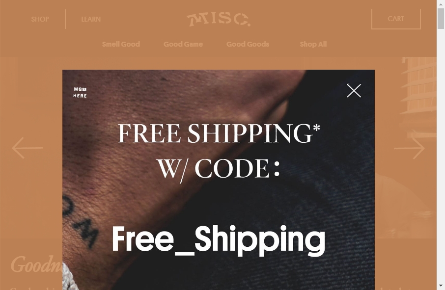 Misc Websites Examples 3