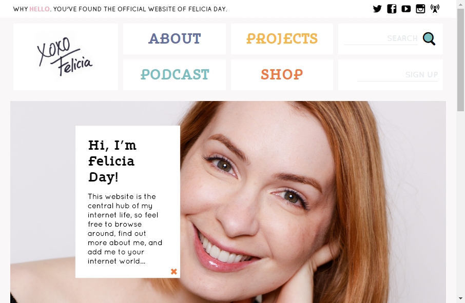 15 Great Celebrity Website Examples 12