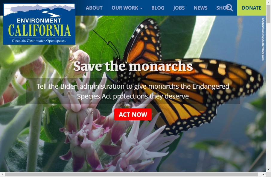 13 Examples of Environment Websites With Fantastic Designs 12