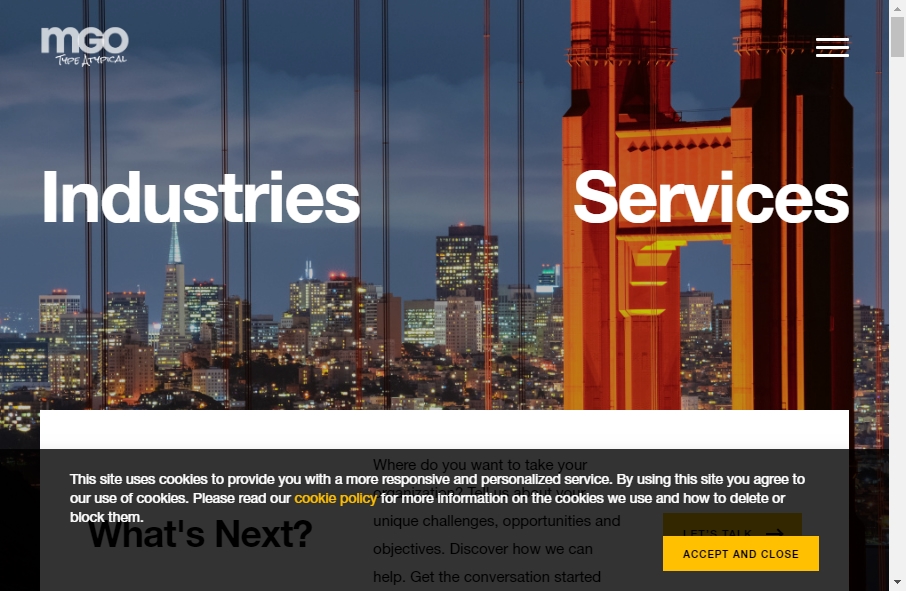 Accountants Websites Examples 13