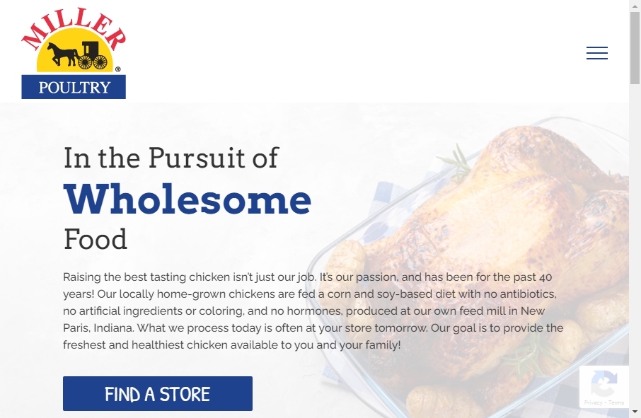 Examples of Poultry Websites With Fantastic Designs 11