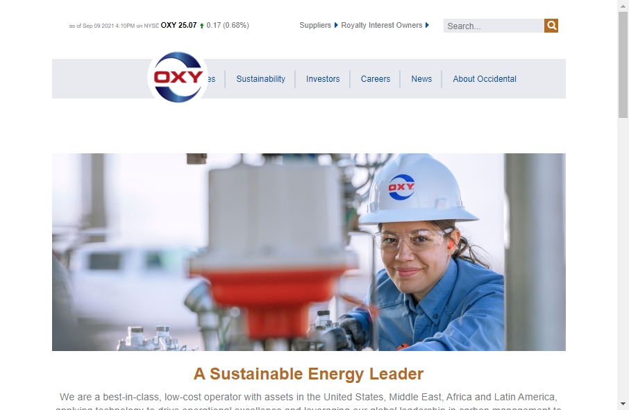 23 Best Oil Website Design Examples for 2022 13