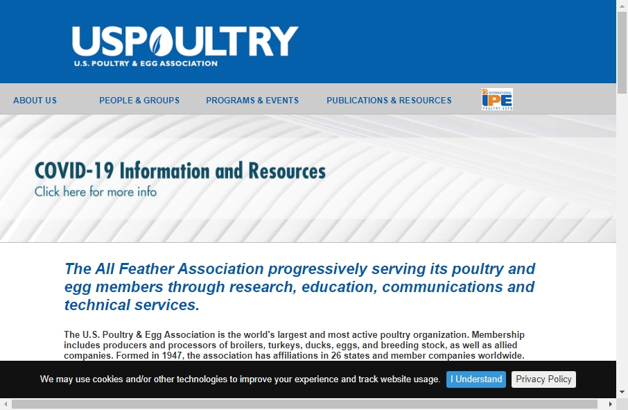 Examples of Poultry Websites With Fantastic Designs 14