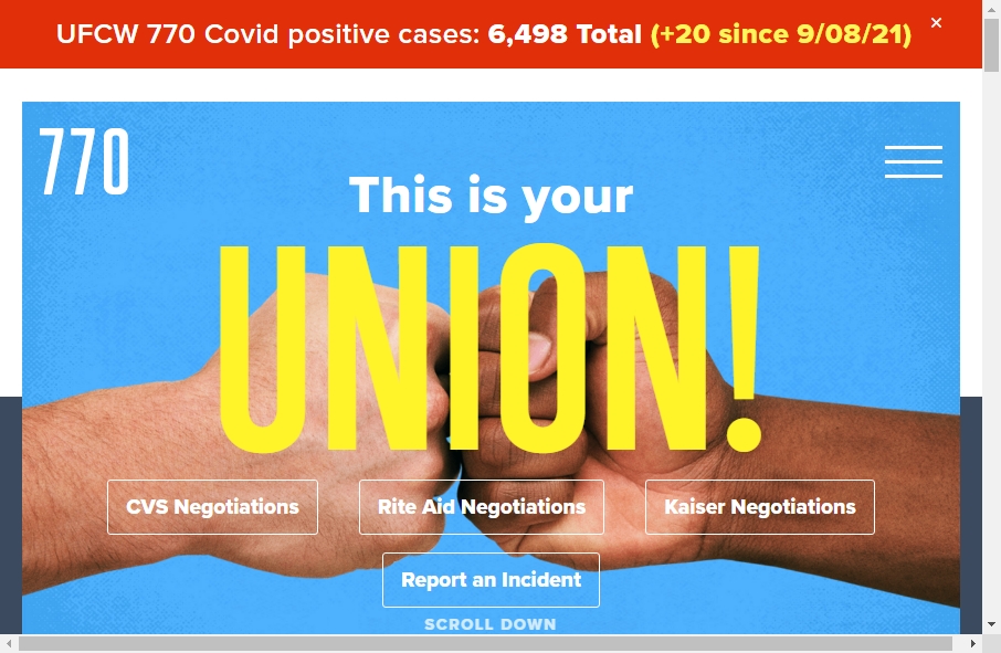 13 Best Business Association Website Design Examples for 2022 13