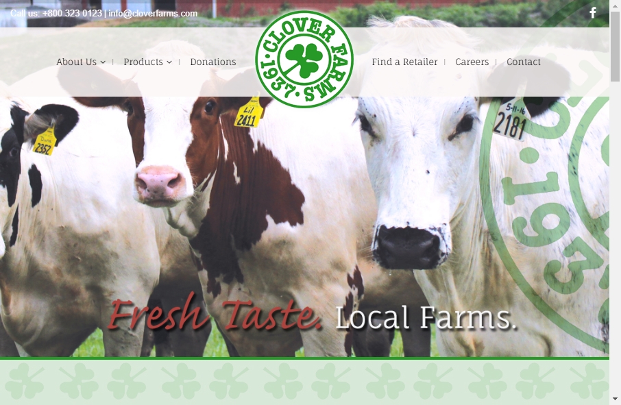 Dairy Website Design 17