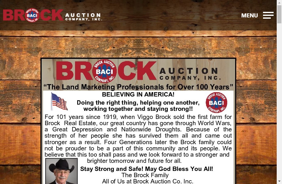 14 Great Auction Websites Examples 14