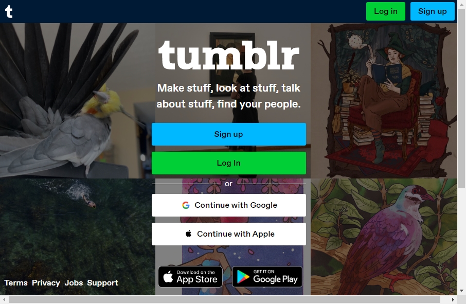 Microblog Websites Examples 3