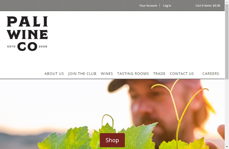 16 Best Wine Website Design Examples for 2023 3