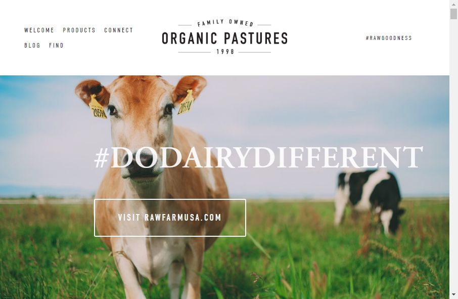 Dairy Website Design 5