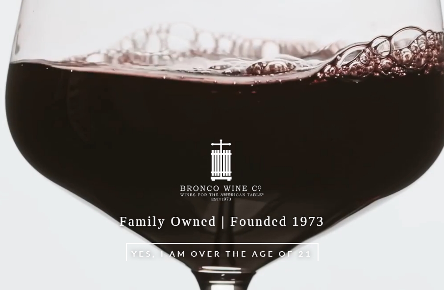 16 Best Wine Website Design Examples for 2023 4