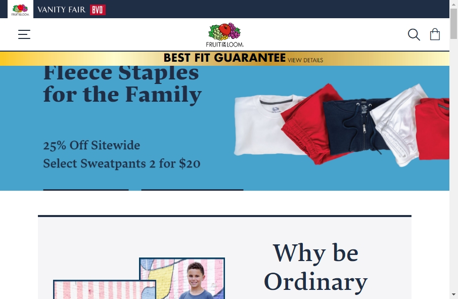 11 Examples of Inspirational Fruit Websites 5