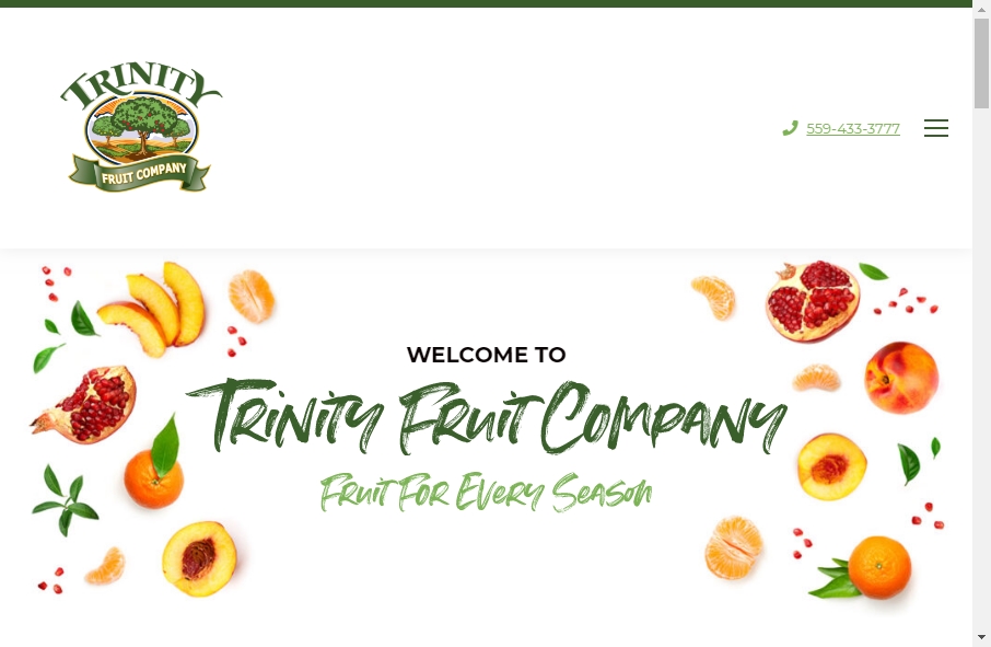 11 Examples of Inspirational Fruit Websites 6