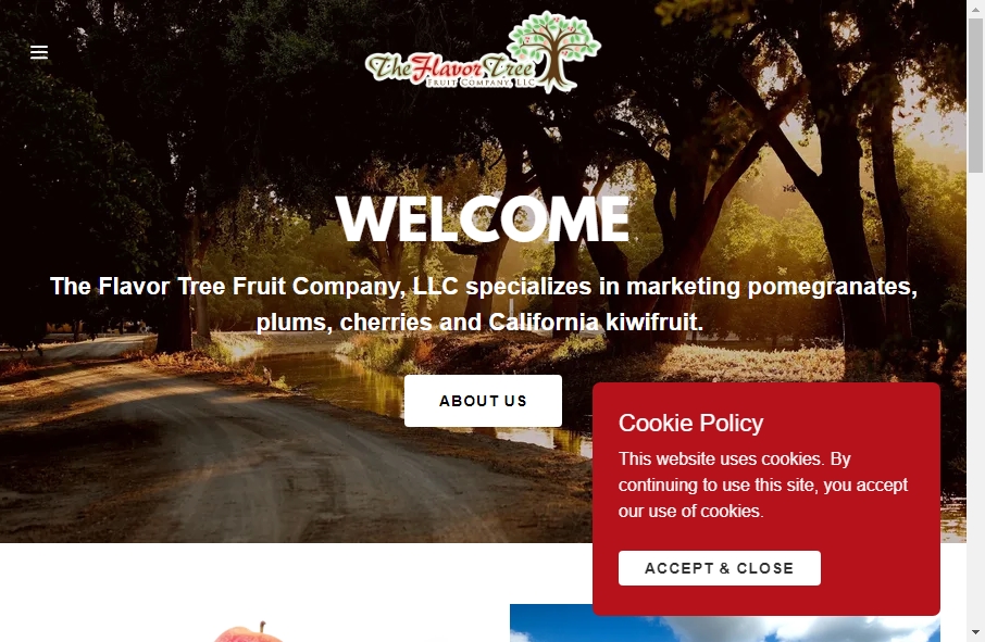 11 Examples of Inspirational Fruit Websites 7