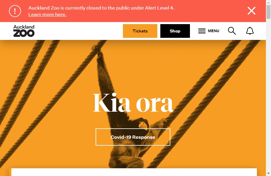 Zoo Websites Design 7