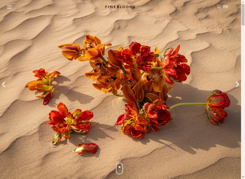 Best Minimalist Websites Design Ideas &ndash; Web Design Inspirations 7