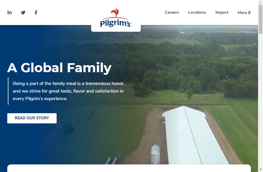 Examples of Poultry Websites With Fantastic Designs 8