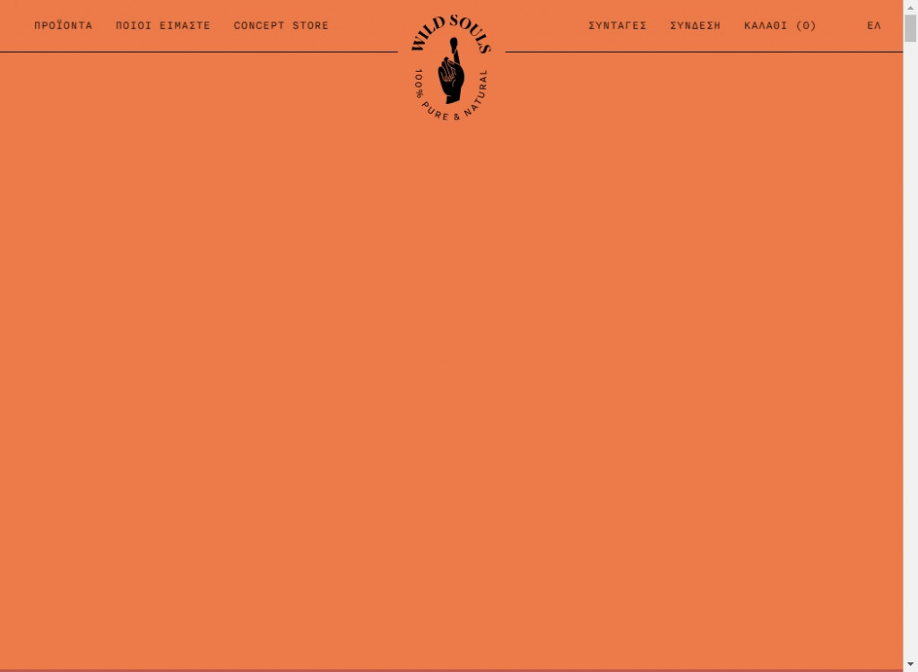 Colorful Web Designs To Inspire You 9