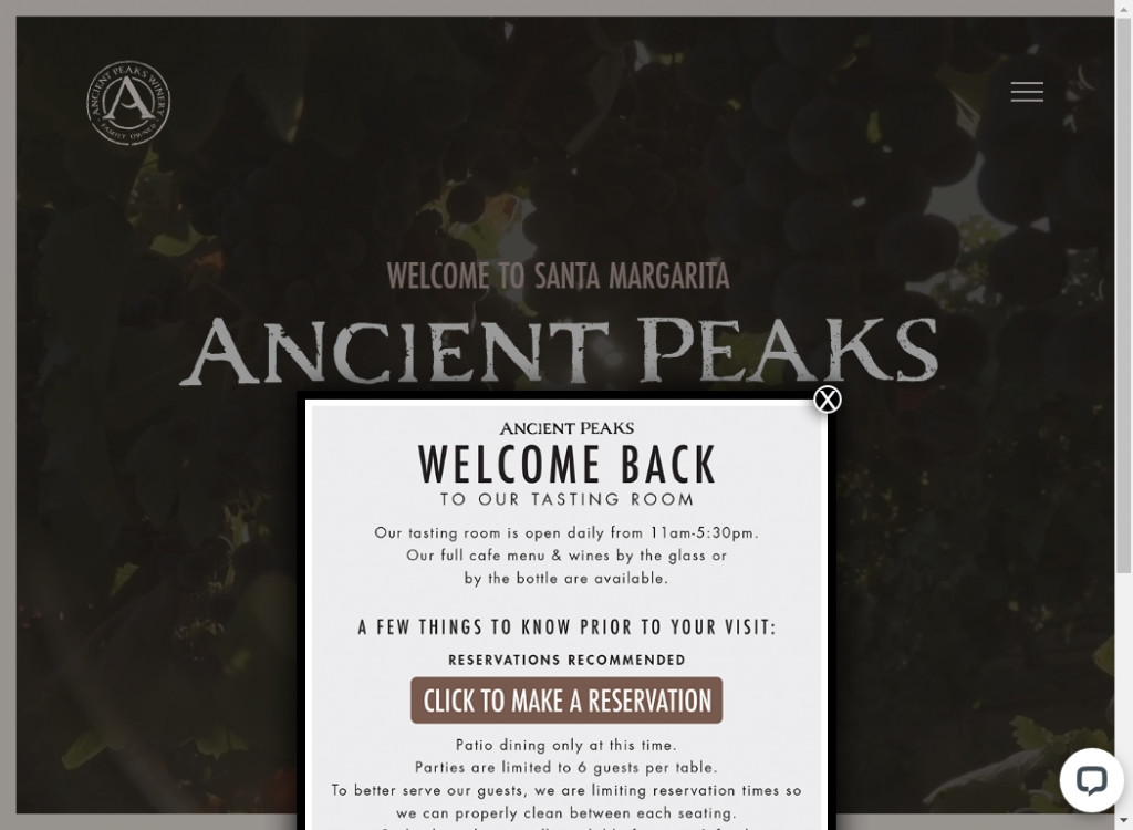 Best Retro Websites Design Ideas &ndash; Web Design Inspirations 9