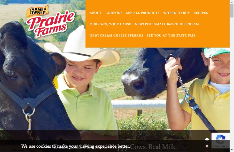 Dairy Website Design 10