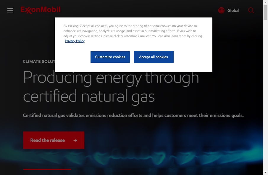 23 Best Oil Website Design Examples for 2022 10