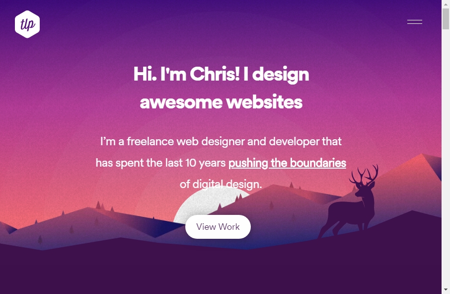 Misc Websites Examples 10