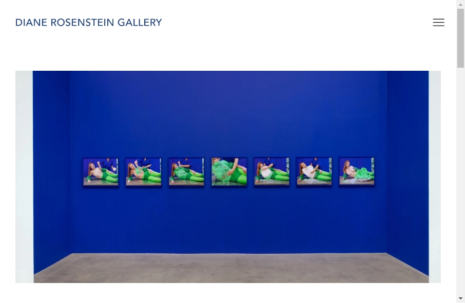 15 Examples of Gallery Websites With Fantastic Designs 8