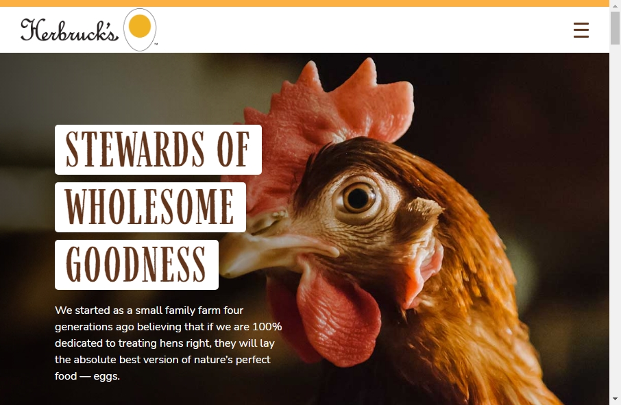 Examples of Poultry Websites With Fantastic Designs 9