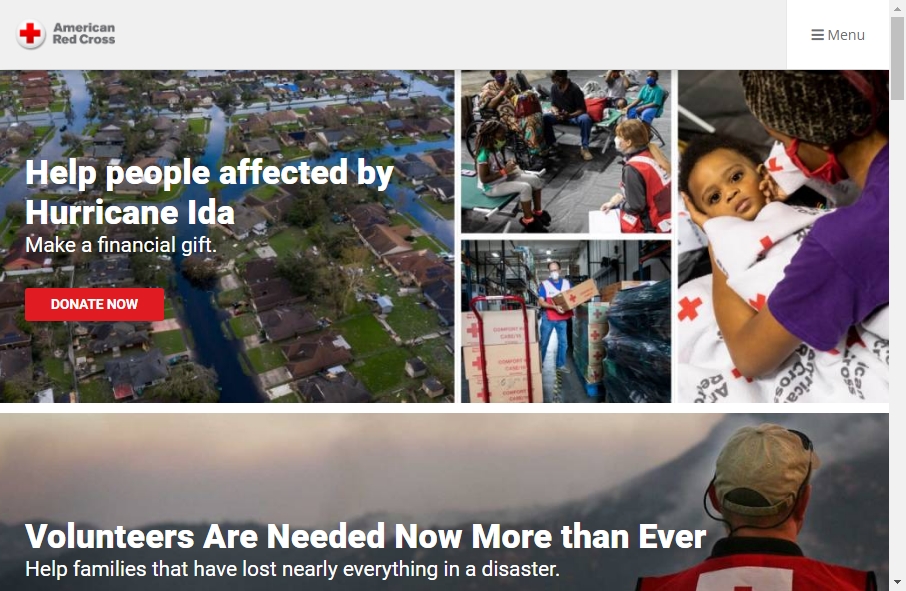9 Examples of Non Profit Websites With Fantastic Designs 10