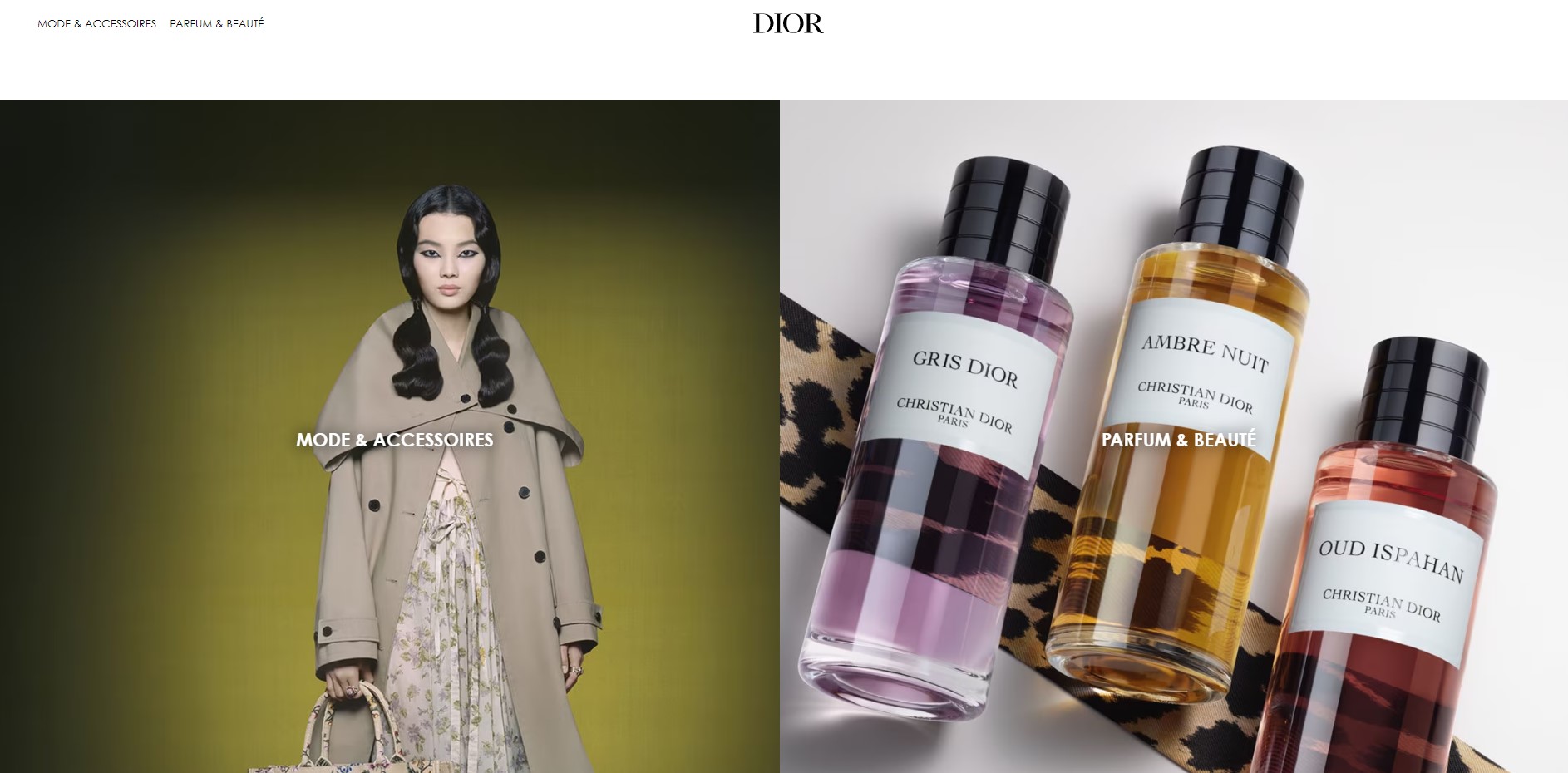 luxury brand website design