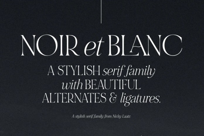 25 Best Serif Fonts For Websites: A Complete Guide 24