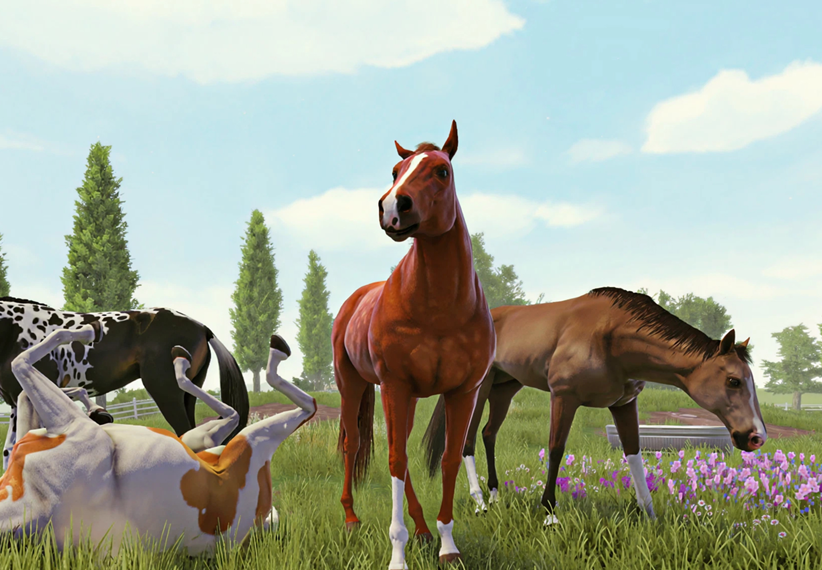 Equine