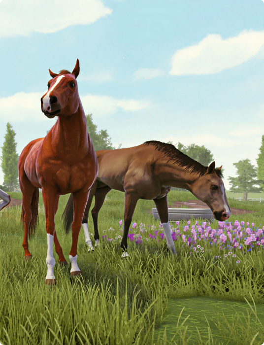 Equine (2)
